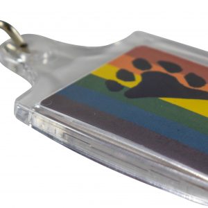 Rainbow Bear Paw Acrylic Key