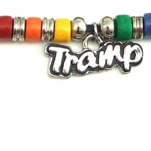 Rainbow Ceramic Beads with Tramp Charm