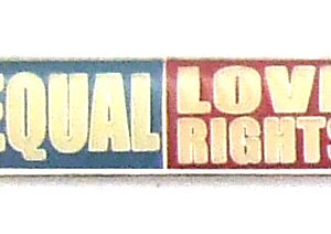 Equal Love Rights Lapel Pin