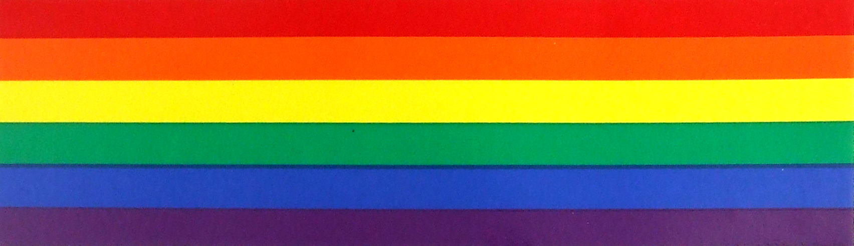 Magnet - Rainbow Strip 2" x 10"