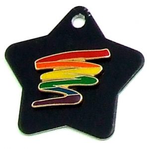 Rainbow Squiggle on black star pet Charm