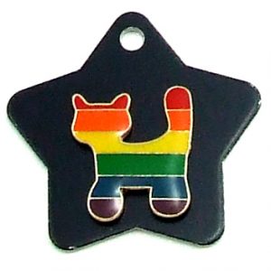 Rainbow Cat on black star pet Charm