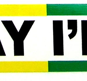 Sticker - Bumper - Oy Vay I'm Gay