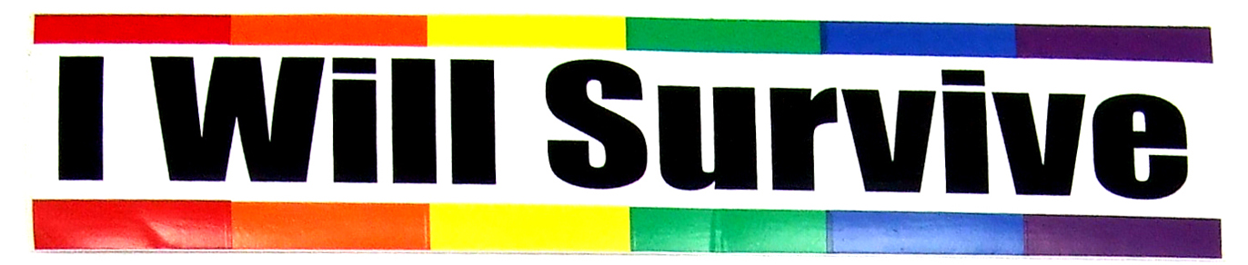 Sticker - bumper – Rainbow I will Survive