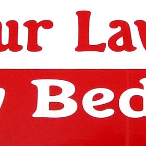 Sticker - Bumper - Laws out of Bedroom