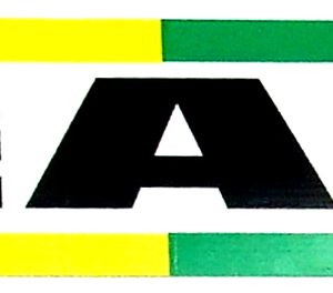 Sticker - Bumper – Rainbow PEACE