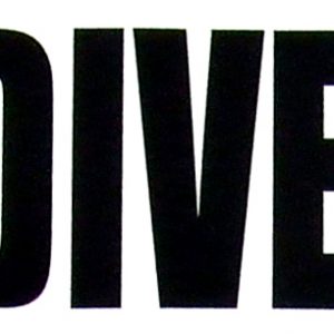 Sticker - Bumper - I Love Diversity