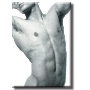 Magnet - Guys Chest