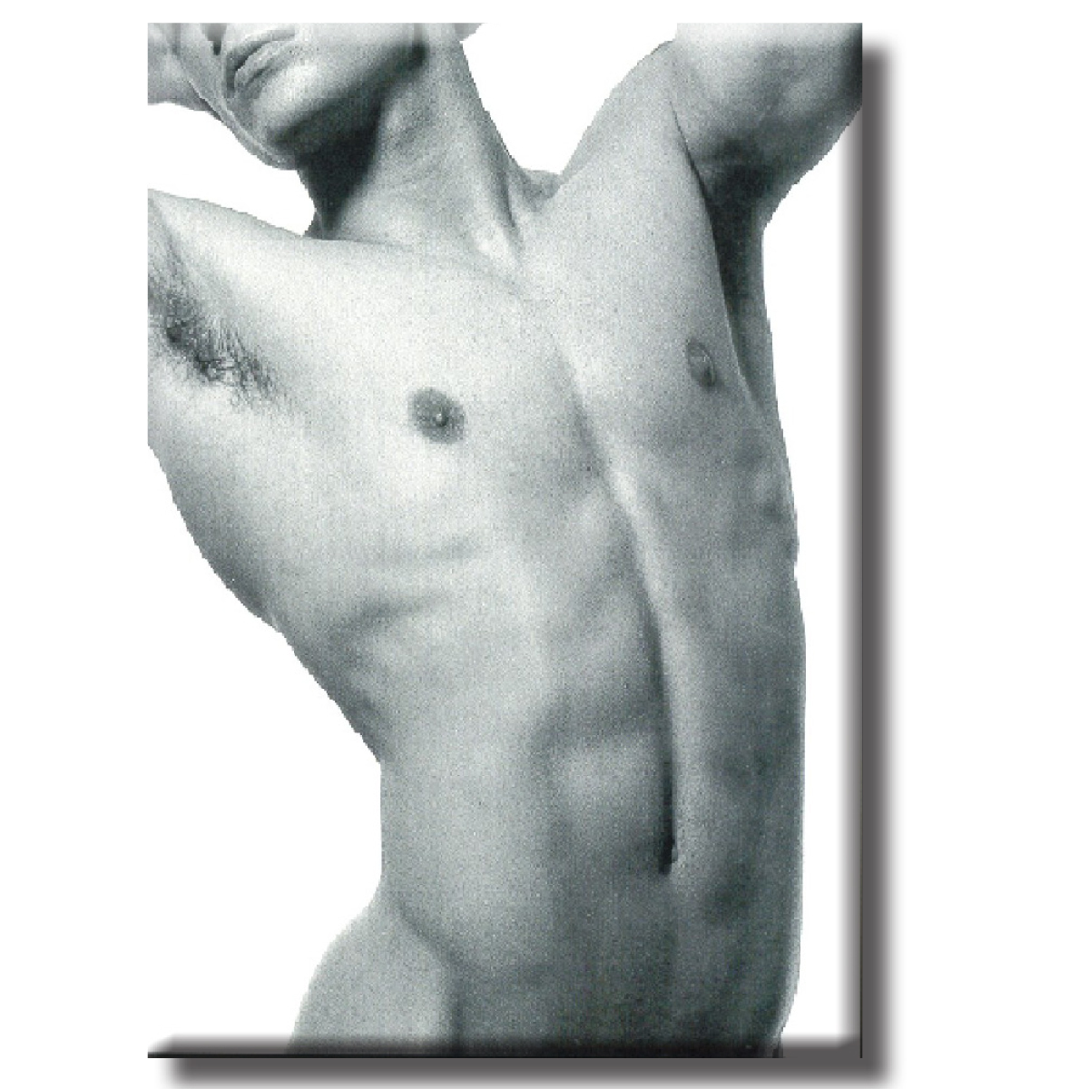 Magnet - Guys Chest