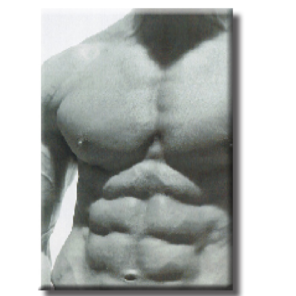 Magnet - Guys Chest2